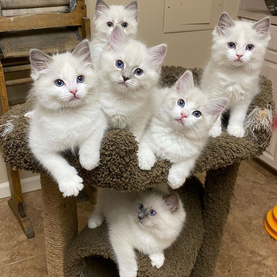 #slidecaption3 Learn More