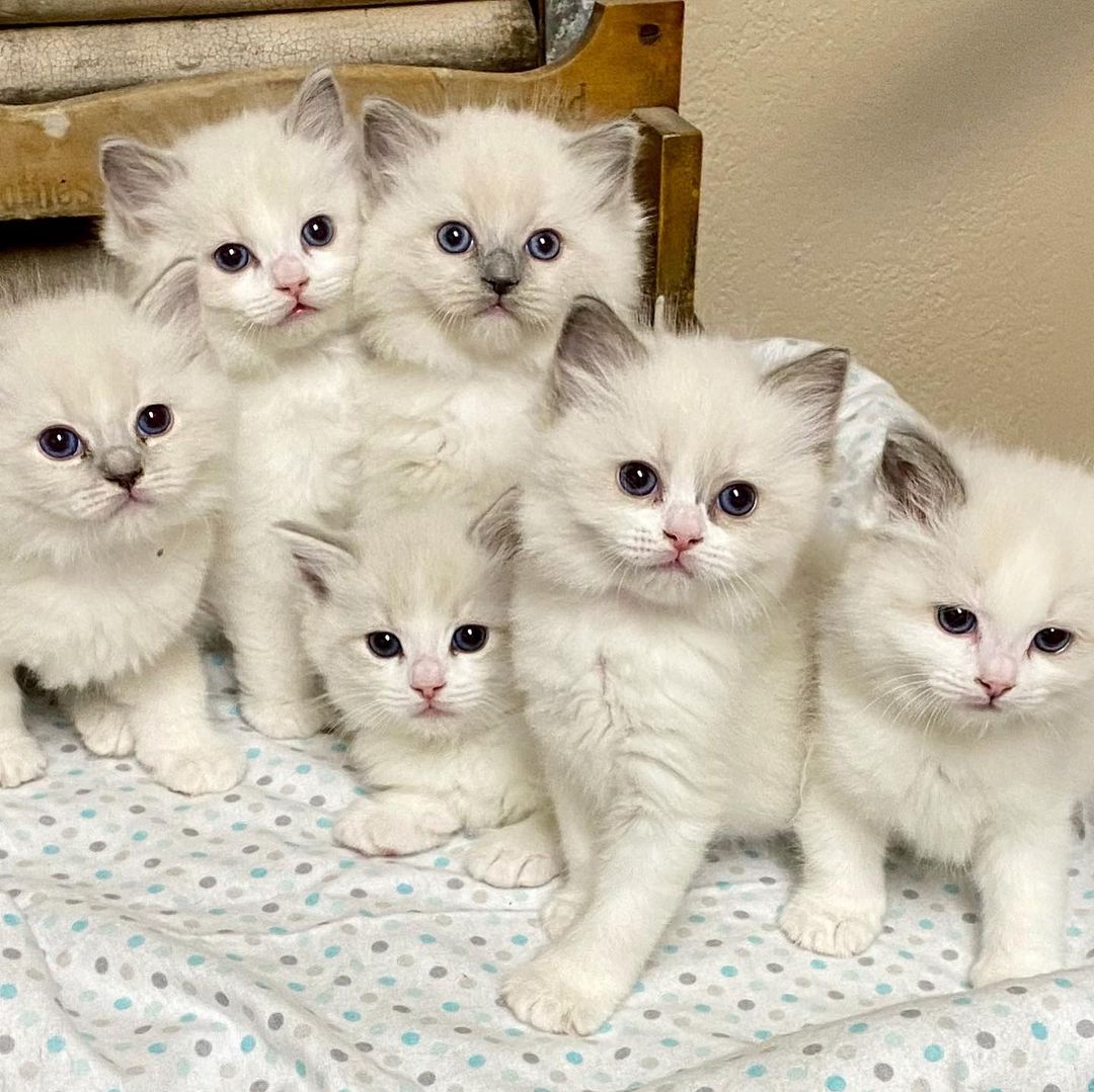 #slidecaption2 Learn More