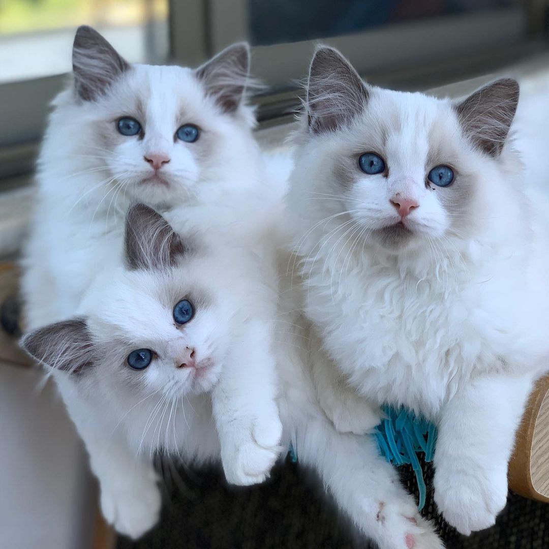 #slidecaption1 Learn More